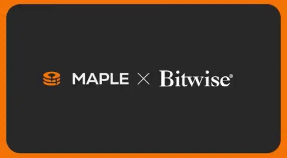 ビットワイズとMapleが協力